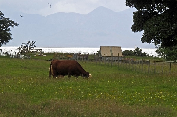 Applecross_village._-_panoramio