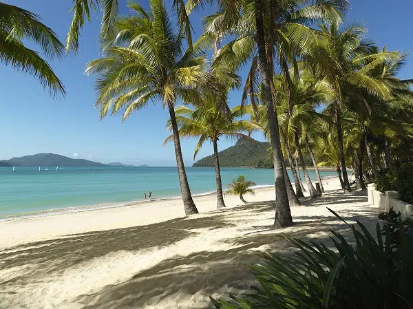 Hamilton_Island