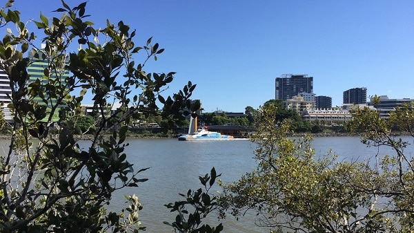 Toowong