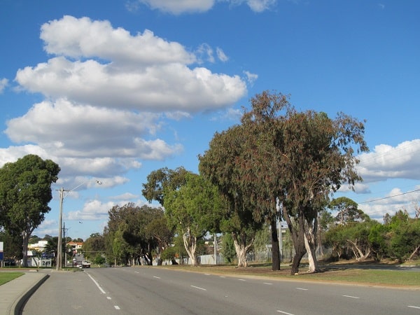Balcatta